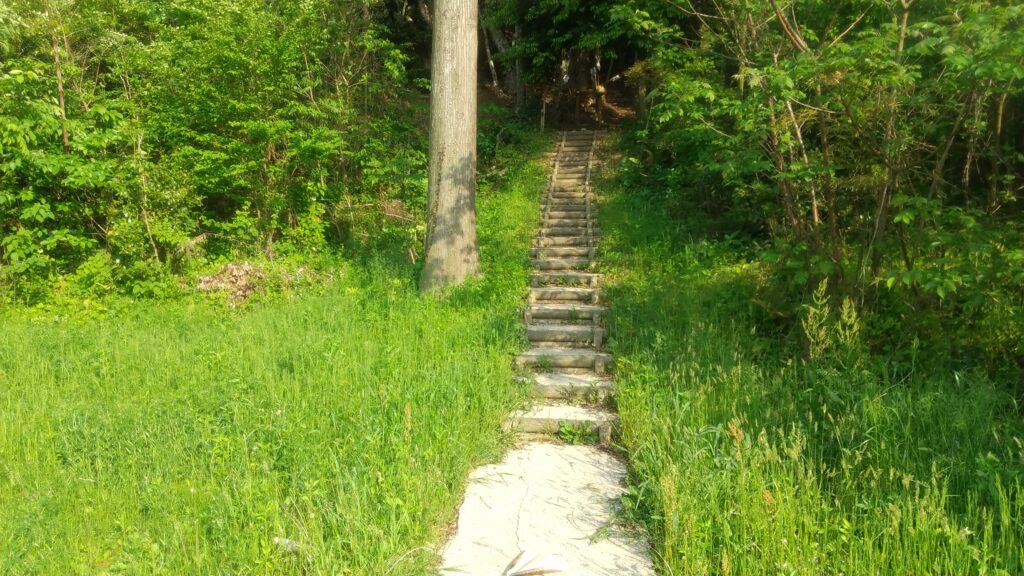 【HSPミニマリストの神社仏閣巡り】半分荒神を参拝したお話。